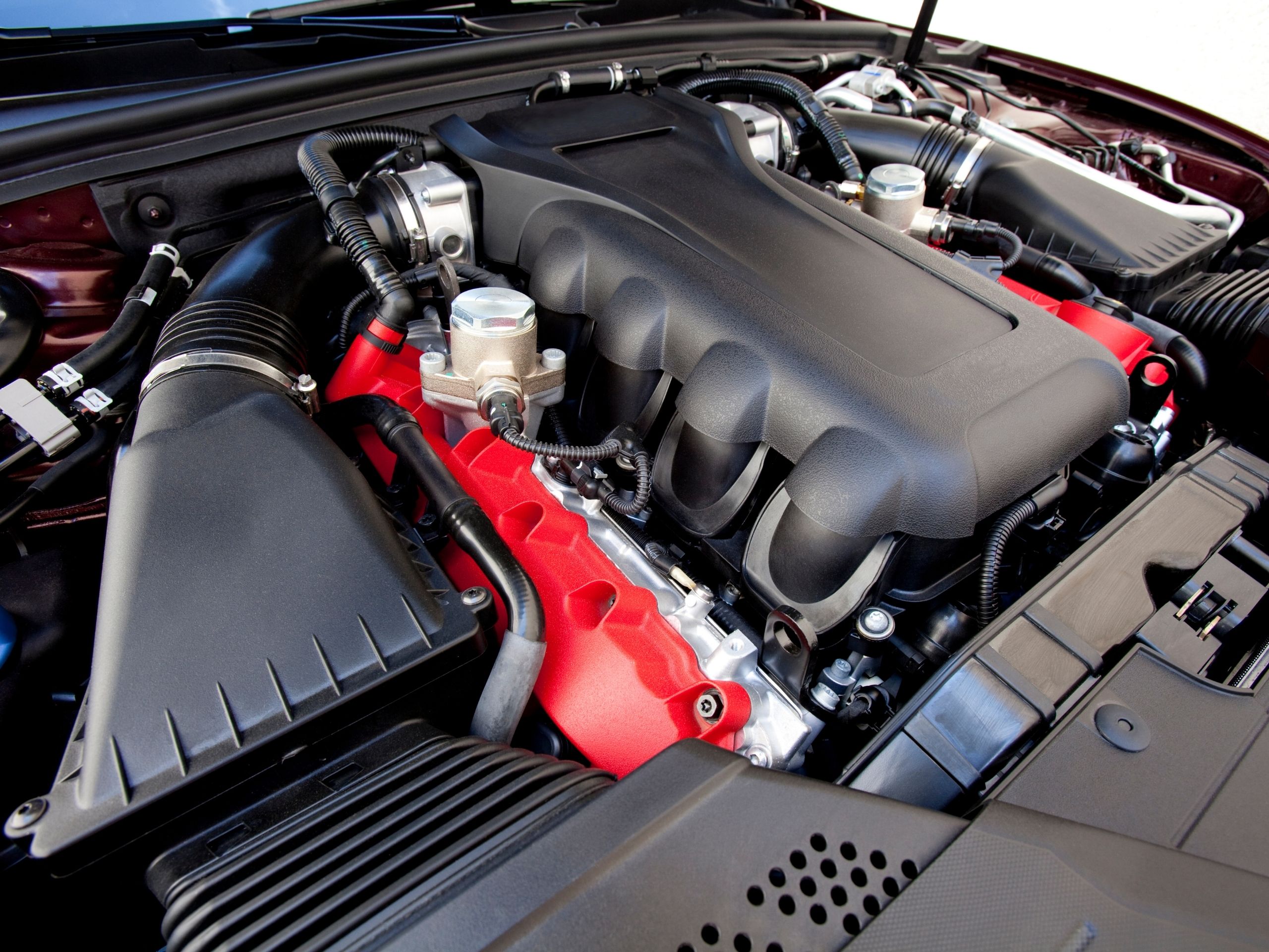 Car Engine Car Engine Cleaning Service Pinellas Park, Fl
